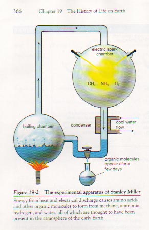 Fig. 19-2. Miller's Experiment