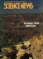 Science News Cover