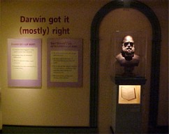 Darwin exhibit