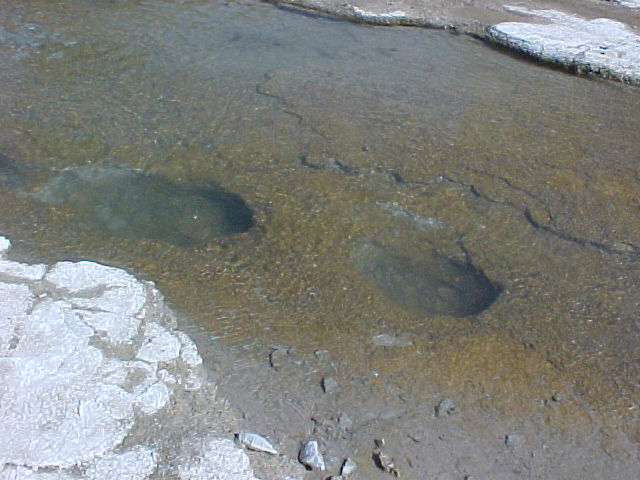 two tracks under water